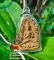 Thai Amulet Khun Paen Prai Kumanthong Wat Khun Na Kae